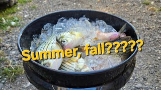 Fairmont Minnesota Fall fishing report time to wake up green day September ended [upl. by Midis]