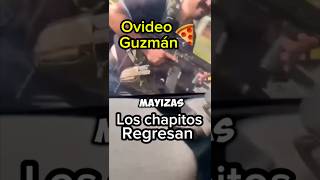 Ovideo Guzmán regreso loschapitos narcos narcosmexico mayitoflaco cartel sinaloa culiacan [upl. by Leachim]