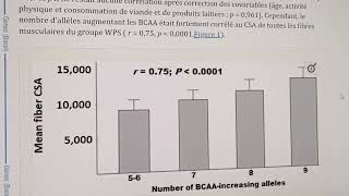 Pour certains répondent mieux à lanabolisme des BCAA que dautres [upl. by Retsev]