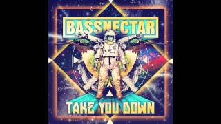 Bassnectar  Colorstorm [upl. by Dlanar]