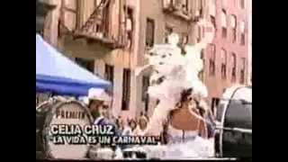 Celia CruzLa Vida Es Un Carnaval Jeff Morenas XTC RemixVideowmv [upl. by Larimore297]