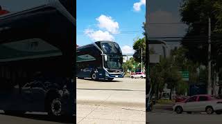 Volvo 9800 ETN Turistar volvobus autobuses viajeros youtubeshorts [upl. by Nnayllas19]