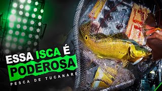 Olha o Poder Desta Iscavideodepesca tucunarepescadetucunaré fishing [upl. by Berry]