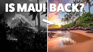 The Truth About Maui Travel in 2024 🌺 [upl. by Ecirbaf]