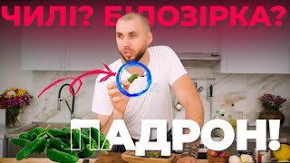 ЯК ПРИГОТУВАТИ ПЕРЧИКИ ПАДРОН \\ How to cook Padrón Peppers 🫑 [upl. by Smoht]