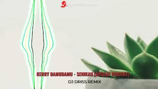 Kerry Damudamu  Senikau Reggae Riddimz [upl. by Odnomyar]