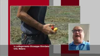 Caporalato e lotta al sommerso interviene Pino Giordano UGL Basilicata [upl. by Ailem]