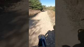 DEER CROSSING THE TRAILS WHILE RIDING [upl. by Drape]