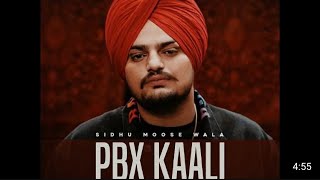 PBX Kaali  Sidhu MooseWala  New Punjabi Songs 2024 [upl. by Anilac]