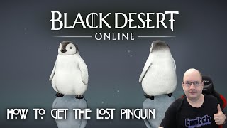 Black Desert Online  How to get the lost Pinguin [upl. by Regine930]