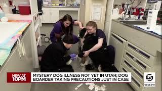 Deadly dog illness has Utah pet parents and businesses taking extra precautions [upl. by Oiramal]