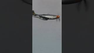 Historic Warbird Flyovers aircraft aviation military 🔥 🔥 [upl. by Airlie]