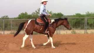 Dale Fredricks Horse Training  Reining a horse with body cues [upl. by Kolk]