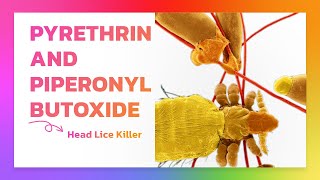 Pyrethrin and Piperonyl Butoxide Topical Uses [upl. by Arika103]