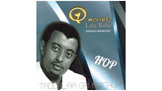 Tadele Gemechu  Abbabeetoo  Oromo music [upl. by Annadal315]