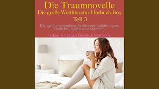 Kreuzworträtsel mit Gewalt4  Die Traumnovelle  Die große Weltliteratur Hörbuch Box  Teil 3 [upl. by Basile]