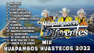 Huapangueros Diferentes Las Mejor Exitos  Huapangos 2023 [upl. by Notsob]