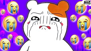 Ebichu Crying meme How Hamster became a meme [upl. by Maril]