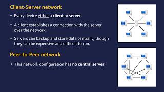 Network Types and Performance [upl. by Aital663]