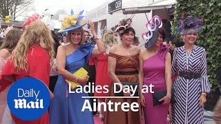 Aintree turns on the style for Ladies Day [upl. by Torras750]