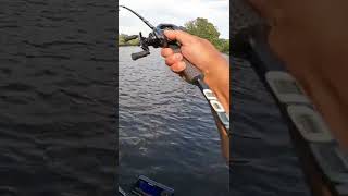 KastKing Kestrel Elite BFS vs Smallmouth Bass Finally Revealed [upl. by Ylrad]