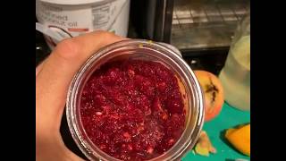 Fermented Cranberry Relish fermentation fermentedfoods [upl. by Kimbell]