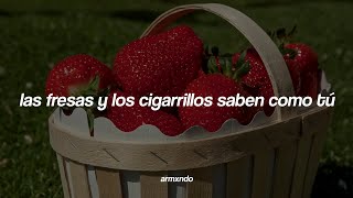 Troye Sivan — Strawberries amp Cigarettes Sub Español [upl. by Schacker]