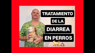 Tratamiento básico de diarrea en los perros [upl. by Guthrey]