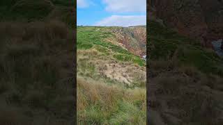 Cape Woolamai australian rockycliff coast beachwalk scenicviews coast asmrvideo traveller [upl. by Suiravad]