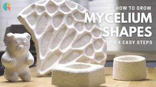 GIY Material Instructions  Grow Mycelium Shapes In 4 Easy Steps [upl. by Acinyt551]