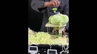 Multifunctional Slicer Chopper Household Shredded Potatoes Slicer And Grater [upl. by Luanne]