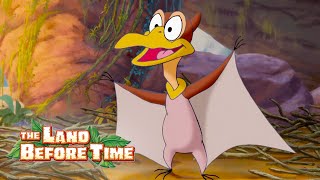 Best Of Petrie  1 Hour Compilation  Full Episodes  The Land Before Time [upl. by Yates302]