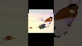 animals have feelings too anime movieexplainedinhindi movie shorts [upl. by Gilcrest]