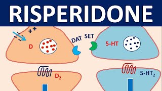 Risperidone  Mechanism side effects precautions amp uses [upl. by Trebor]