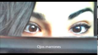 Lucho Nuñez 【ojos marrones】 LETRA [upl. by Mellins]