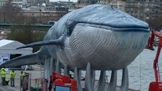 COP21 Giant Whale  port of Paris Cop21  december 2015 baleine géante France [upl. by Inimak929]