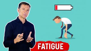 What Causes Fatigue – Dr Berg [upl. by Nasho]