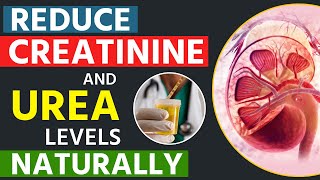 Reduce Creatinine and Urea Levels Naturally  Dr Puru Dhawan [upl. by Annid]