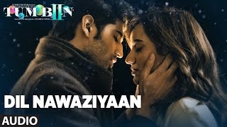 DIL NAWAZIYAAN Full Song Audio  Arko Payal Dev  Tum Bin 2 [upl. by Bornie]