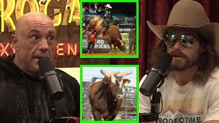 Dale Brisby Talks About Bushwacker The Baddest Most Dangerous Bull Ever amp JB Mauney [upl. by Clemence]