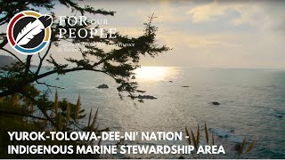 YurokTolowaDeeni Nation  Indigenous Marine Stewardship Area [upl. by Narat]