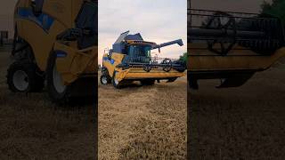 ŻNIWA 2024  NewHolland Cx580 jęczmień 45😱 oporowo dc farming [upl. by Janela]