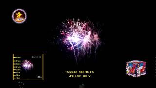 4TH OF JULY TS5642 TSKY FIREWORKS [upl. by Yngad129]