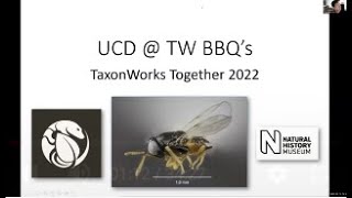 TWT2022 Universal Chalcidoidea Database UCDTW BBQ Experience processing sources together [upl. by Chrisy]