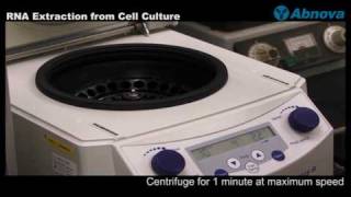 RNA Extraction from Cell Culture [upl. by Ewer48]