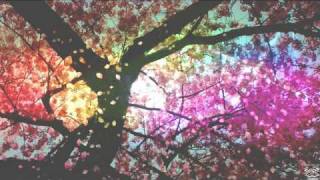 La luce del fiore di ciliegioThe light of the cherry blossom [upl. by Atsejam]