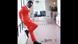 Harmonize  Kidonda Changu  Official Music Audio [upl. by Lymn]