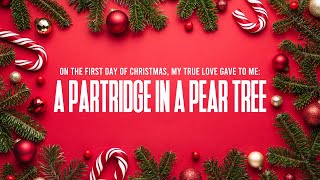 A Partridge in a Pear Tree  12 Days of Christmas [upl. by Azne]