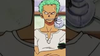 Why Zoro become BOUNTY HUNTER onepiece hindi zoro bounty [upl. by Rozek]