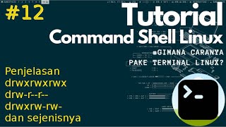 Belajar Terminal Linux 12  Penjelasan drwxrwxrwx di Terminal Saat Mengeksekusi quotls lquot [upl. by Gregoire]